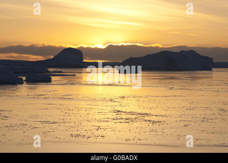 Du jaune dans l'Antarctique. Banque D'Images