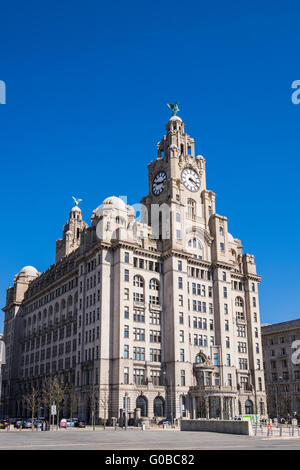 Royal Liver Building, Liverpool, Merseyside, Angleterre, Royaume-Uni Banque D'Images