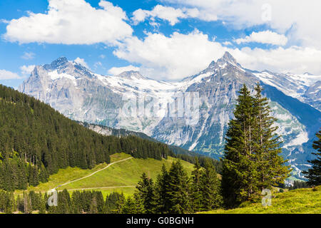 Vue panoramique de Schreckhorn, Alpes suisses, Grindelwald, Suisse Banque D'Images