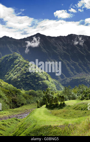 Tahiti. La route dans les montagnes. La nature tropicale. Banque D'Images