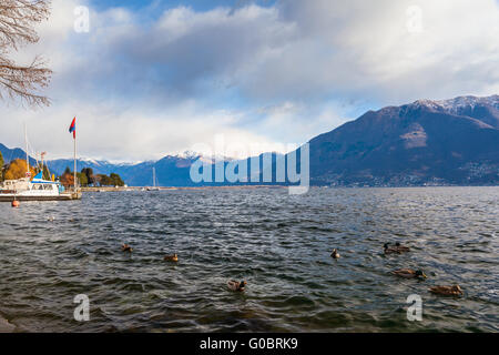 Belle vue sur le Lac Majeur et les Alpes à partir de Locarno en hiver, Canton du Tessin, Suisse. Banque D'Images