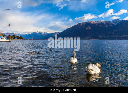 Belle vue sur le Lac Majeur et les Alpes à partir de Locarno en hiver, Canton du Tessin, Suisse. Banque D'Images