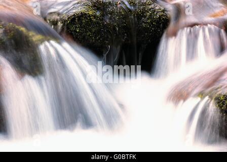 Le rapide à la cascade de l'eau blanc Banque D'Images