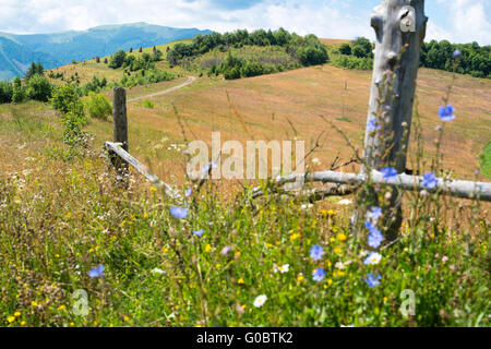 Clôture en bois contre le paysage dans le Carpates ukrainiennes Banque D'Images