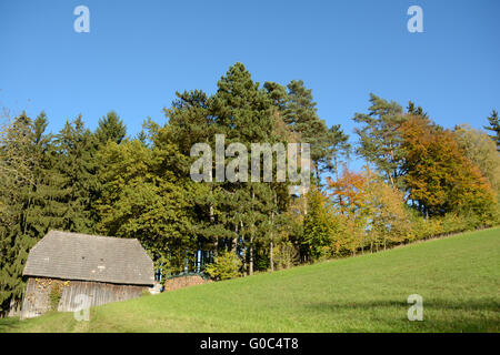 Limite de la forêt sur un jour d'automne avec cabine Banque D'Images