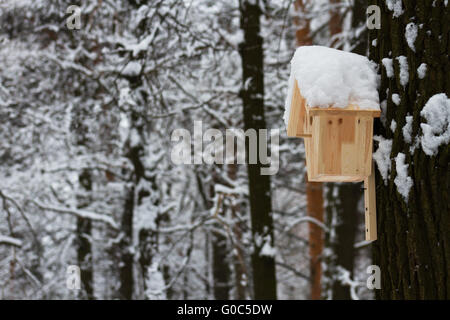 Maison en bois pour les oiseaux dans Winter Park Banque D'Images