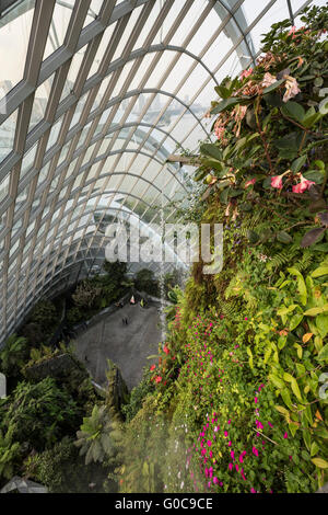 Le mesófilo de montagne Cascade dans les jardins au bord de la Bay Singapour Banque D'Images
