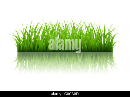 La frontière de l'herbe verte Banque D'Images