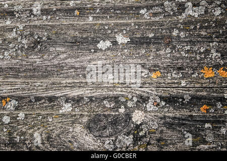 texture du bois Banque D'Images