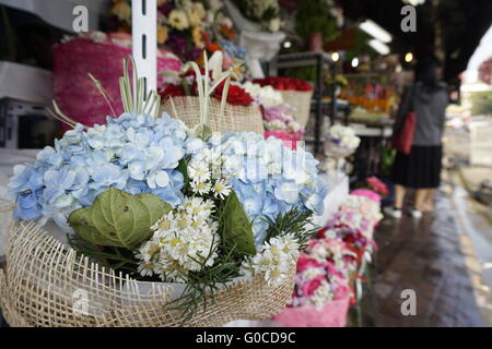 Flower stall à Chiang Maï marché Chinatown Banque D'Images