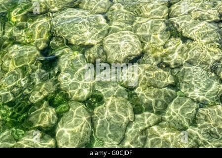 Recouvert d'algues et de limon des pierres sous l'eau Banque D'Images
