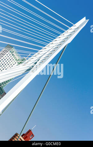 Détail du pont Erasmus à Rotterdam, incliné Banque D'Images