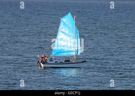 L'yacht Caber, avec un voile bleu de couleur vive, en passant Cloch Point sur le Firth of Clyde. Banque D'Images