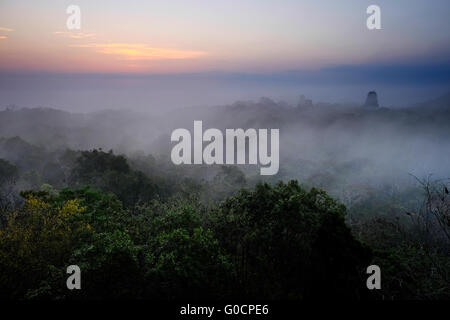 Lever du soleil et brume matinale sur la jungle tropicale, vu de l'ancien temple maya numéro 4 sur le site archéologique de Tikal un ancien centre urbain de la civilisation maya précolombienne situé dans la région archéologique du bassin au nord du Petén au Guatemala Banque D'Images