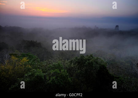 Lever du soleil et brume matinale sur la jungle tropicale, vu de l'ancien temple maya numéro 4 sur le site archéologique de Tikal un ancien centre urbain de la civilisation maya précolombienne situé dans la région archéologique du bassin au nord du Petén au Guatemala Banque D'Images