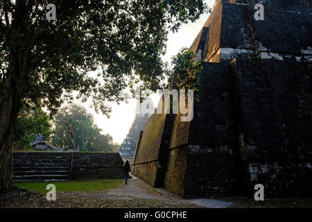 Une promenade touristique à travers la Gran Plaza sur le site archéologique de Tikal un ancien centre urbain de la civilisation maya pré-colombienne situé dans la région archéologique du bassin de Peten dans le nord du Guatemala Banque D'Images