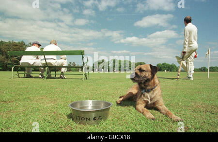 Manderston Cricket Club dans les Scottish Borders. Banque D'Images