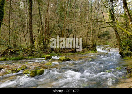 Petit ruisseau de montagne (L'Allondon) entre les arbres au début du printemps, près de Chevry, au sud est de la France Banque D'Images