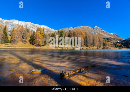 Vue imprenable sur le lac, près de Palpuogna col d'Albula avec mélèze doré à l'automne, Canton des Grisons, Suisse Banque D'Images