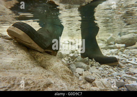 Wellington dans un cours d'eau Banque D'Images