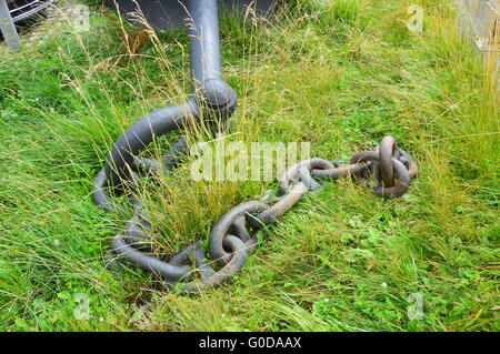 Câble d'ancrage dans l'herbe Banque D'Images