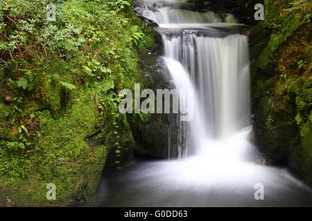 Cascade dans la forêt Banque D'Images