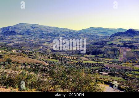 Vue) sur un paysage de cultures d'oliviers et de vignobles. Banque D'Images