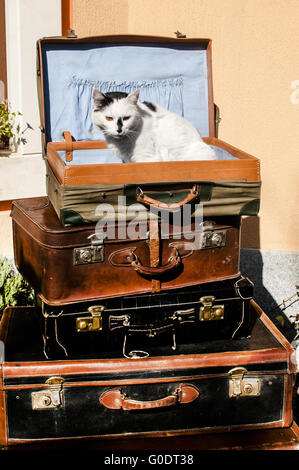 Old vintage retro cuir valises empilées utilisé Banque D'Images