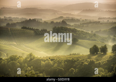 Collines toscanes Banque D'Images