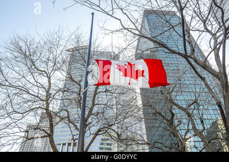 Drapeaux du Canada au centre-ville de Montréal, Québec, Canada Banque D'Images
