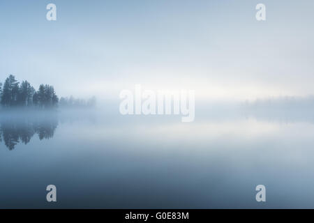 Matin brouillard sur un lac, Laponie, Suède Banque D'Images