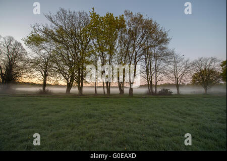 Wimbledon Common, London UK. 1er mai 2016. La demoiselle de déshonneur Wimbledon Hommes Morris dance au lever du soleil le jour matin à 05.30h sur un misty et frosty Wimbledon Common. Credit : Malcolm Park editorial/Alamy Live News. Banque D'Images