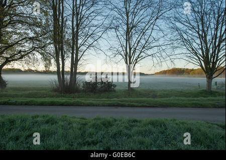 Wimbledon Common, London UK. 1er mai 2016. La demoiselle de déshonneur Wimbledon Hommes Morris dance au lever du soleil le jour matin à 05.30h sur un misty et frosty Wimbledon Common. Credit : Malcolm Park editorial/Alamy Live News. Banque D'Images