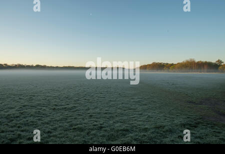 Wimbledon Common, London UK. 1er mai 2016. La demoiselle de déshonneur Wimbledon Hommes Morris dance au lever du soleil le jour matin à 05.30h sur un misty et frosty Wimbledon Common. Credit : Malcolm Park editorial/Alamy Live News. Banque D'Images