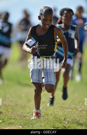 Cape Town, Afrique du Sud. 30 avril, 2016. Les enfants dans l'U/9 1km course pendant la Province de l'Ouest Ligue de cross-country à l'établissement correctionnel de Pollsmoor le 30 avril 2016 à Cape Town, Afrique du Sud. Photo par Roger Sedres/Gallo Images/Alamy Live News Banque D'Images