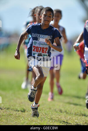 Cape Town, Afrique du Sud. 30 avril, 2016. Les enfants dans l'U/9 1km course pendant la Province de l'Ouest Ligue de cross-country à l'établissement correctionnel de Pollsmoor le 30 avril 2016 à Cape Town, Afrique du Sud. Photo par Roger Sedres/Gallo Images/Alamy Live News Banque D'Images