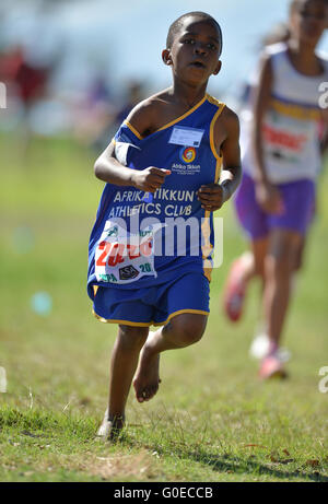 Cape Town, Afrique du Sud. 30 avril, 2016. Les enfants dans l'U/9 1km course pendant la Province de l'Ouest Ligue de cross-country à l'établissement correctionnel de Pollsmoor le 30 avril 2016 à Cape Town, Afrique du Sud. Photo par Roger Sedres/Gallo Images/Alamy Live News Banque D'Images