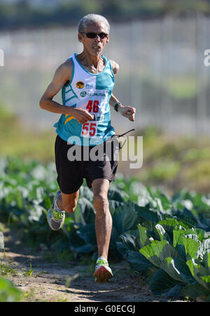 Cape Town, Afrique du Sud. 30 avril, 2016. Eric Coetzee de FNB traverse des plantations de chou dans le mens 8km au cours de la province de l'Ouest Ligue de cross-country à l'établissement correctionnel de Pollsmoor le 30 avril 2016 à Cape Town, Afrique du Sud. Photo par Roger Sedres/Gallo Images/Alamy Live News Banque D'Images