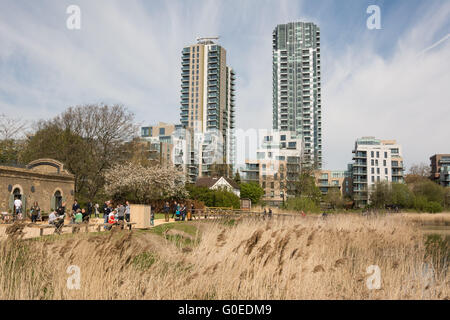 London UK 01 mai 2016. Réserve naturelle des zones humides Woodberry ouvre ses portes au public. Ouvert pour l'accès sans restriction pour la première fois de son deux cent ans d'histoire, milieux humides Woodberry est une vaste oasis de la faune près de Finsbury Park dans le quartier de Hackney. S'étendant sur 11 hectares, ce projet à long terme d'amélioration de l'habitat et la restauration de patrimoine est situé sur un tronçon de la rivière New et Stoke Newington engloutit l'Est du réservoir. Credit : Patricia Phillips/Alamy Live News Banque D'Images