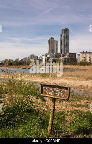 London UK 01 mai 2016. Réserve naturelle des zones humides Woodberry ouvre ses portes au public. Ouvert pour l'accès sans restriction pour la première fois de son deux cent ans d'histoire, milieux humides Woodberry est une vaste oasis de la faune près de Finsbury Park dans le quartier de Hackney. S'étendant sur 11 hectares, ce projet à long terme d'amélioration de l'habitat et la restauration de patrimoine est situé sur un tronçon de la rivière New et Stoke Newington engloutit l'Est du réservoir. Credit : Patricia Phillips/Alamy Live News Banque D'Images