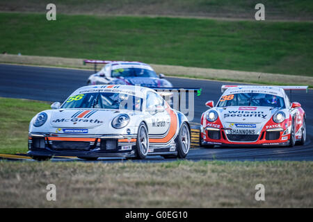 Sydney, Australie. 1er mai 2016. Aucune combinaison de Pro-Am 56 Shane Smollen/Nick Percat a terminé en 3e place dans la Carrera Cup Rally du Pro-Am sur le dernier jour de la Porsche de course automobile Australie Rennsport 2016 Festival au Sydney Motorsport Park © Hugh Peterswald/Pacific Press/Alamy Live News Banque D'Images