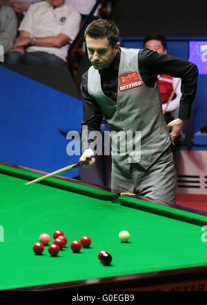 Le Creuset, Sheffield, Royaume-Uni. 1er mai 2016. World Snooker Championship Final, Mark Selby et Din Junhui. Mark Selby se déplace vers son prochain tir © Plus Sport Action/Alamy Live News Banque D'Images