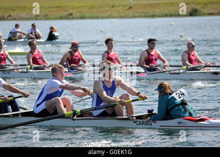 Dorney Lake, Eton, Berkshire, Royaume-Uni. 1er mai 2016. Mens 8 lors de l'Assemblée Wallingford, régates à Dorney Lake Crédit : Eton, Julia Gavin UK/Alamy Live News Banque D'Images