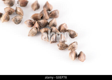 Le sarrasin (Fagopyrum esculentum) graines sur fond blanc Banque D'Images