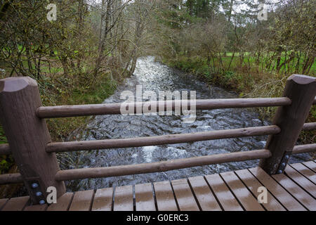 Pont sur un ruisseau sur le sentier en boucle Sud Falls, partie de la piste de dix chutes à Silver Falls State Park dans l'Oregon. Banque D'Images