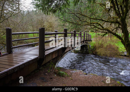 Pont sur un ruisseau sur le sentier en boucle Sud Falls, partie de la piste de dix chutes à Silver Falls State Park dans l'Oregon. Banque D'Images