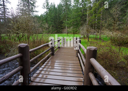 Pont sur un ruisseau sur le sentier en boucle Sud Falls, partie de la piste de dix chutes à Silver Falls State Park dans l'Oregon. Banque D'Images