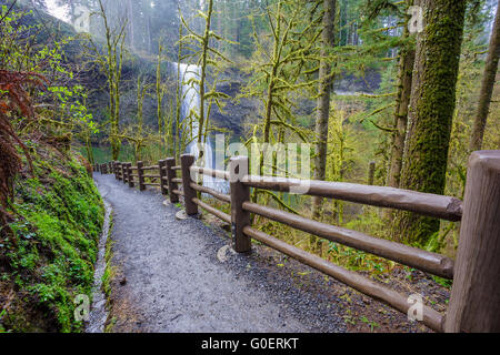 Sentier en boucle sud, partie de la piste de dix chutes à Silver Falls State Park dans l'Oregon. Banque D'Images