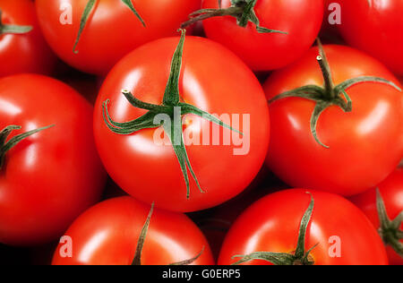 Tomates cerise Bio juteuse Banque D'Images