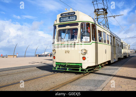 Un double progrès tram voitures voyages le long de la promenade du front de mer de Blackpool, Lancashire, Royaume-Uni dans le cadre d'un week-end de tramway du patrimoine Banque D'Images